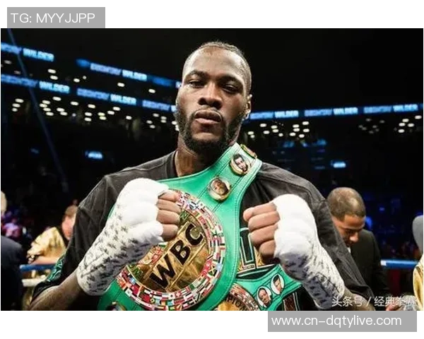 大卫海耶与维尔德的巅峰对决谁将问鼎拳坛之巅